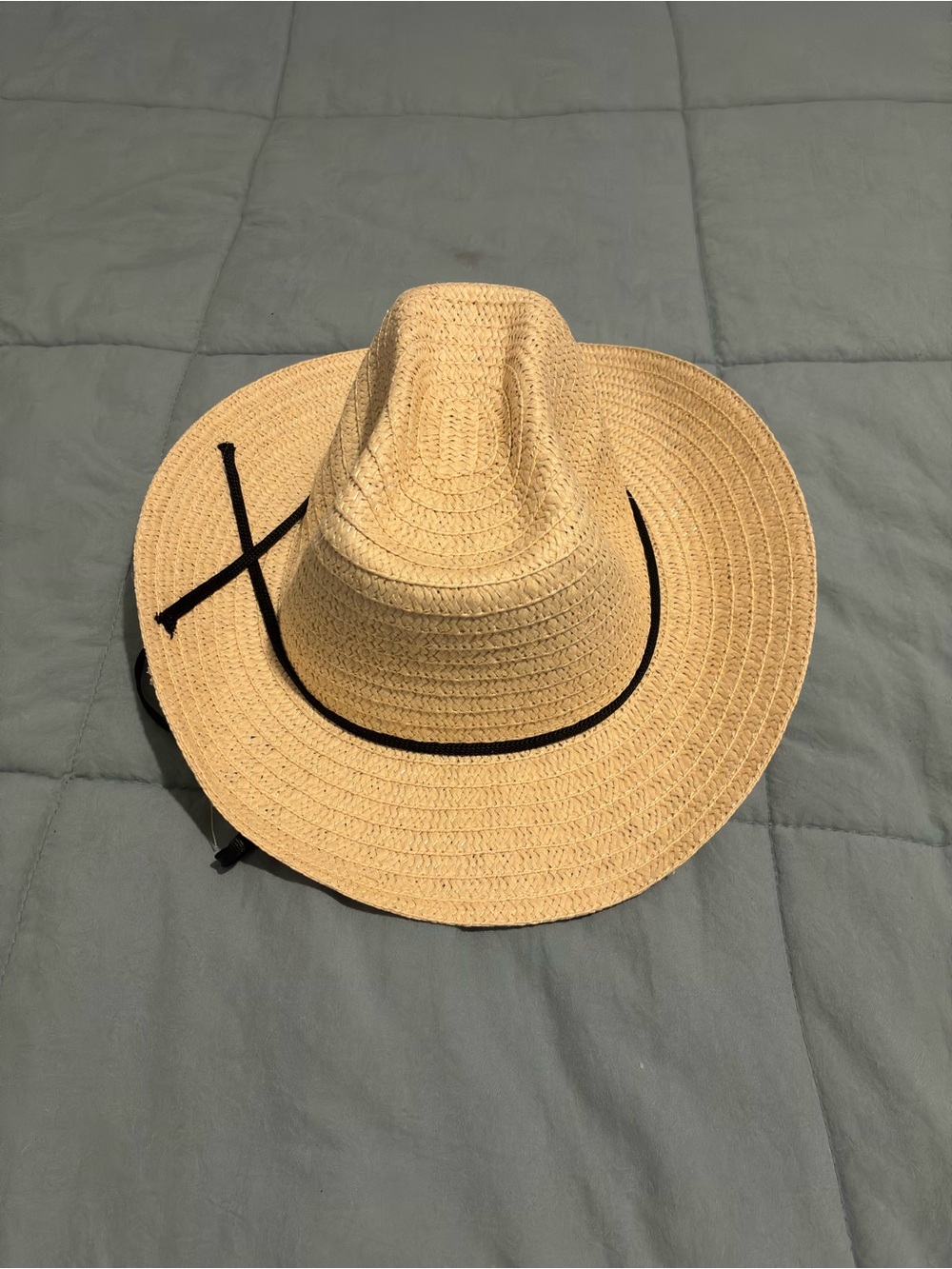 Straw String Hat with Black Accent - Natural